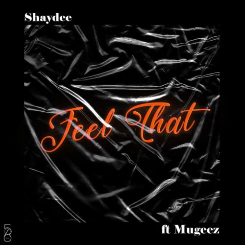 Shaydee Ft Mugeez - Feel That
