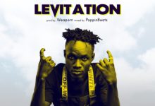 Weaporn - Levitation