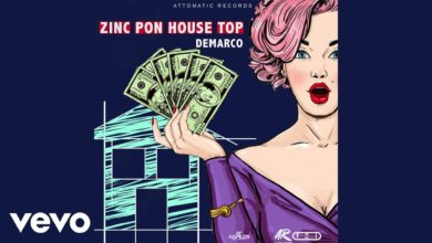 Demarco Zinc Pon House Top