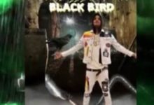 Tommy Lee Sparta - Black Bird