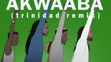 Machel Montano, GuiltyBeatz, Mr Eazi, Pappy Kojo, Patapaa - Akwaaba Trinidad Remix
