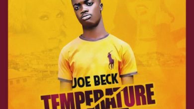 Joe Beck Temperature