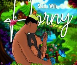 Shatta Wale - Horny (Prod. By Paq)