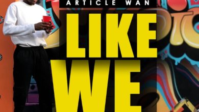 Article Wan Like We