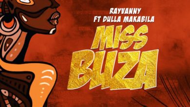 Rayvanny ft. Dulla Makabila Miss Buza