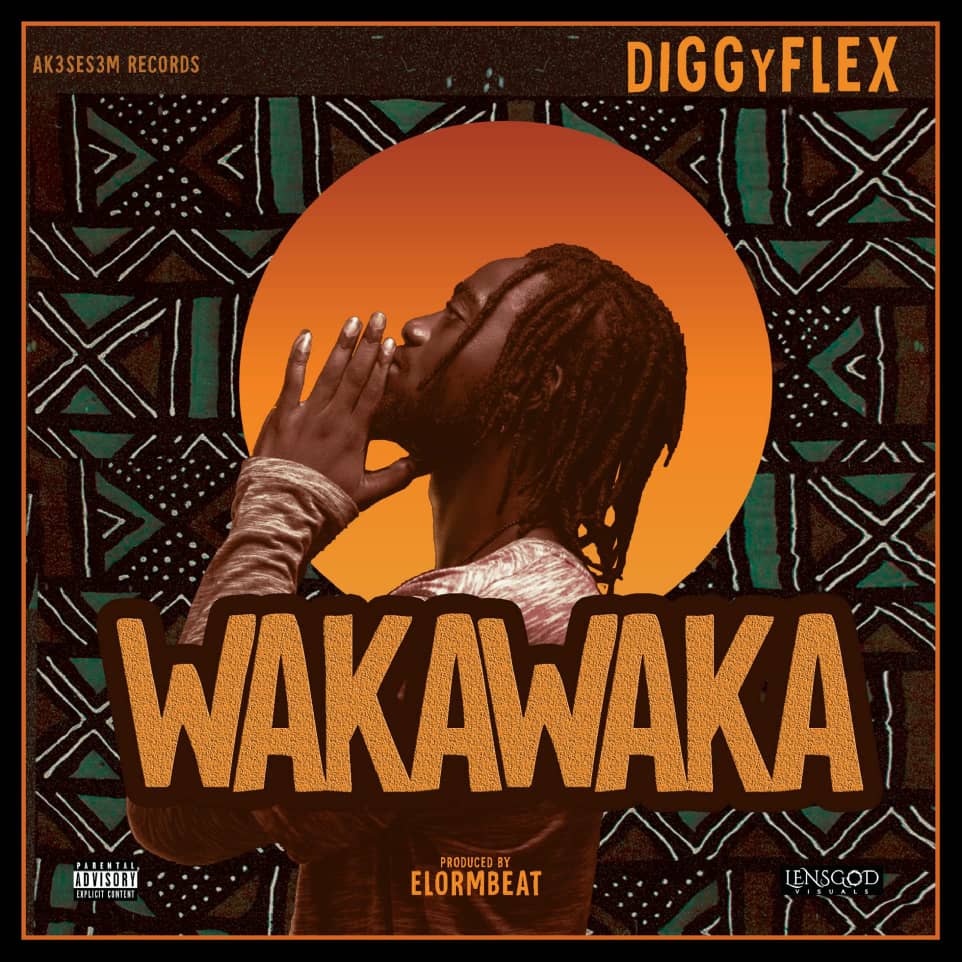 Diggy Flex - Wakawaka