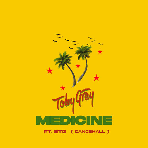 Toby Grey Ft. STG Dancehall - Medicine Remix