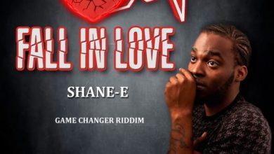 Shane E - Fall In Love