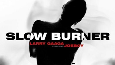 Larry Gaaga Ft. Joeboy - Slow Burner