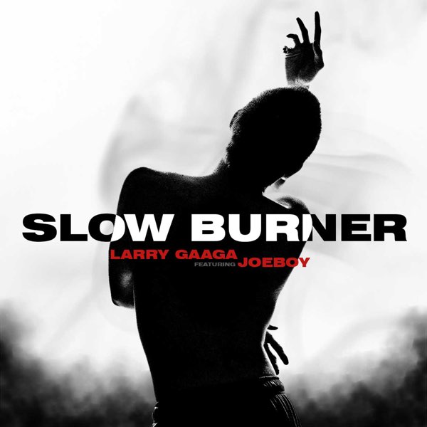 Larry Gaaga Ft. Joeboy - Slow Burner