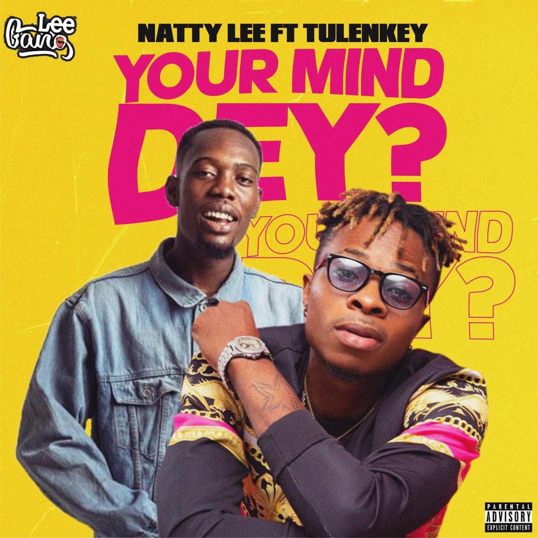 Natty Lee Ft Tulenkey - Your Mind Dey