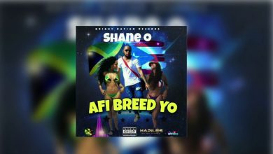 Shane O Afi Breed Yo
