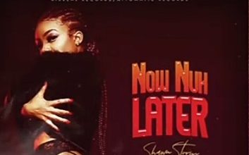 Shawn Storm - Now Nuh Later
