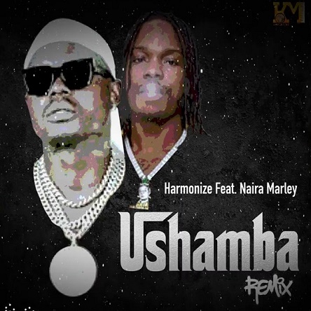 Harmonize ft Naira Marley Ushamba Remix