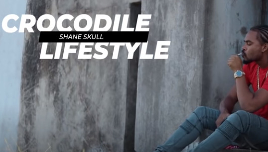 Masicka x Shane Skull - Crocodile Lifestyle