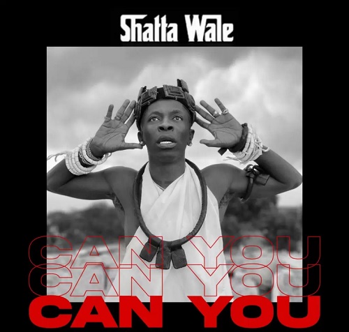 Shatta Wale Can You