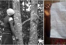 15-year-old girl commits suicide