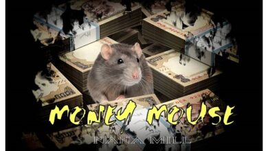 Nana Mill - Money Mouse