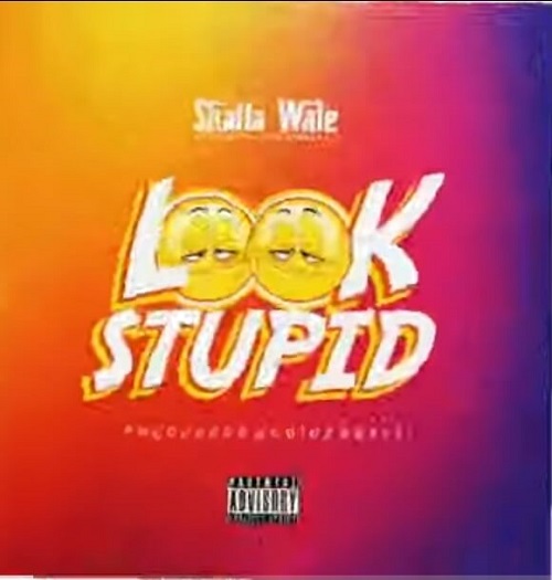 Shatta Wale - Look Stupid