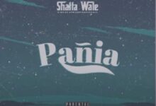 Shatta Wale - Pania