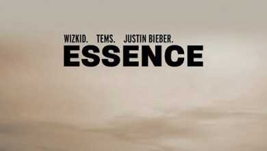 Wizkid Ft Tems x Justin Bieber - Essence Remix
