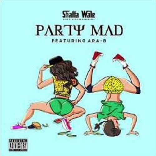 shatta wale ft ara b party mad