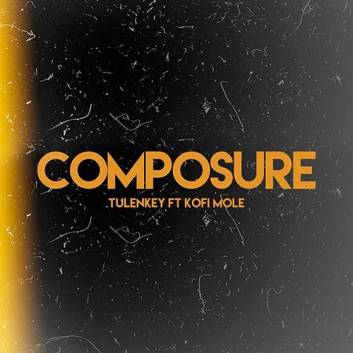 Tulenkey Ft Kofi Mole - Composure Remix