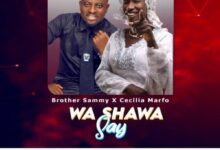 Brother Sammy x Cecilia Marfo - Wa Shawa Say