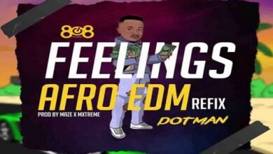 Dotman - Feelings (Afro EDM Refix)