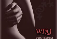 Vybz Kartel - Why