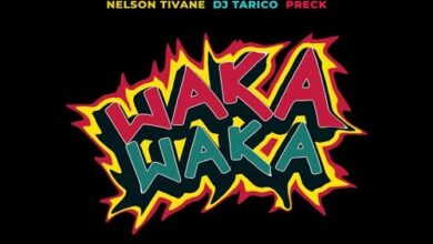 Zoro Ft Yaba Buluku Boyz x Preck x Nelson Tivane x DJ Tárico - Waka Waka Moza Remix