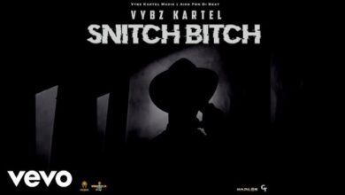 Vybz Kartel - Snitch Bitch