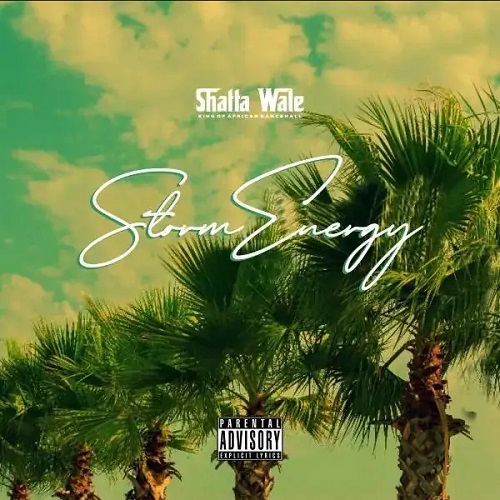 Shatta Wale - Storm Energy
