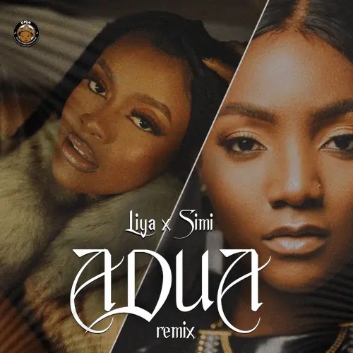 Liya x Simi - Adua (Remix)