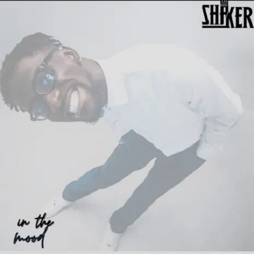 Shaker - In The Mood