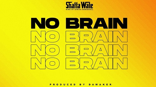 Shatta Wale - No Brain