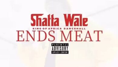 Shatta Wale - Ends Meat
