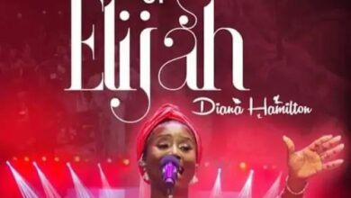 Diana Hamilton - Days Of Elijah