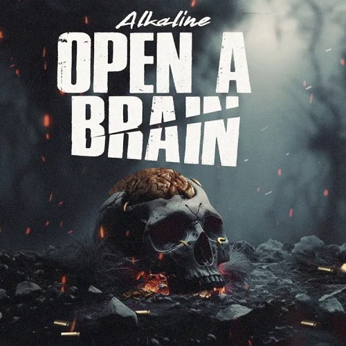 Alkaline - Open A Brain