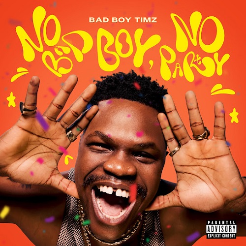 Bad Boy Timz - No Bad Boy No Party Album