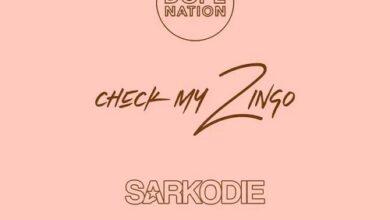 DopeNation Ft Sarkodie - Check My Zingo (Remix)