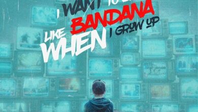 Shatta Wale - I Want To Be Like Bandana