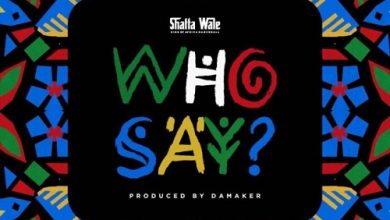 Shatta Wale - Who Say