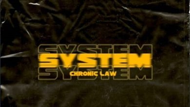 Chronic Law - System