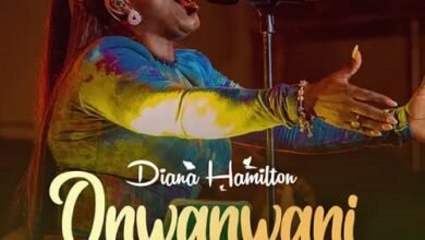 Diana Hamilton Onwanwani Wonder Working God