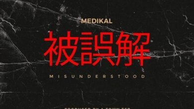 Medikal - Misunderstood