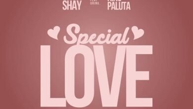 Wendy Shay ft King Paluta - Special Love