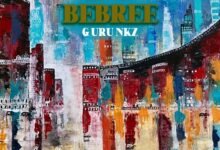 Guru NKZ - Bebree